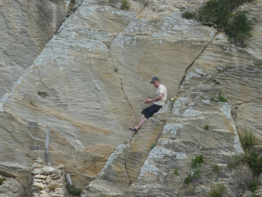 http://www.fordpflanzen.de/bilder/rolf/2013-Pollensa/Pollensa 2013 91.JPG